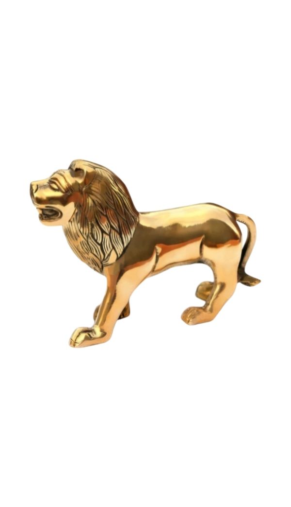 Lion - Image 2