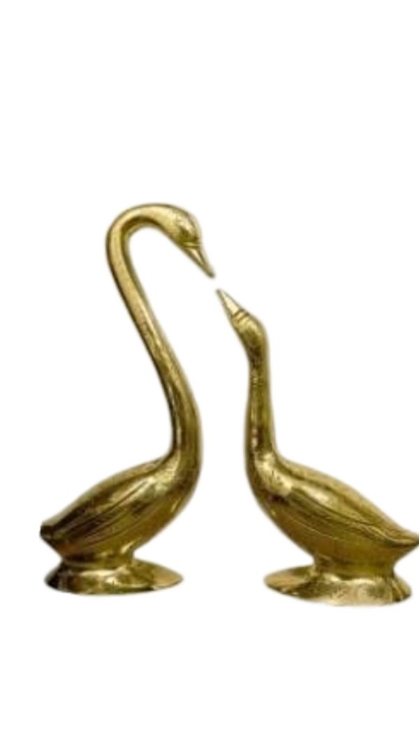 Swan