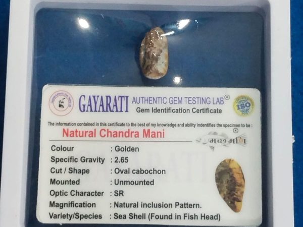 Chander Mani