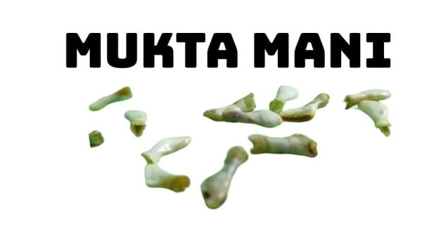 Mukta Mani - Image 3